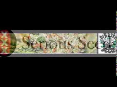 Cannabis & Marijuana Seeds from Lovetheseeds.com