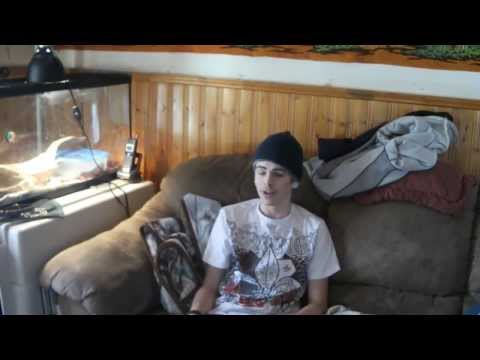 40x Salvia Divinorum Trip