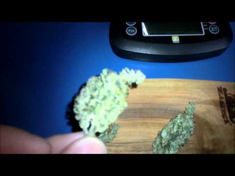 LED Grow Auto AK-47 Review