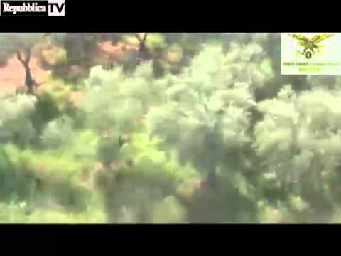 Foggia sequestrata una tonnellata di 