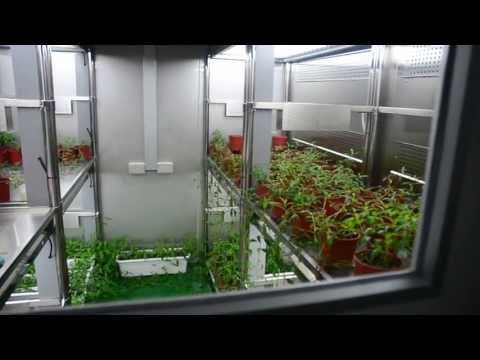 Taiwan HiPoint SINICA Institute growth chamber
