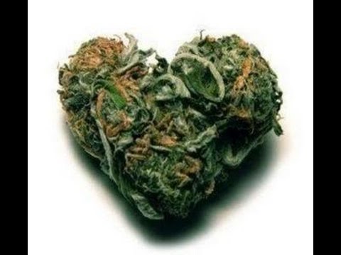 Time 4 Building A Network