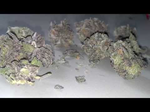 Purple Kush and Bong Rip