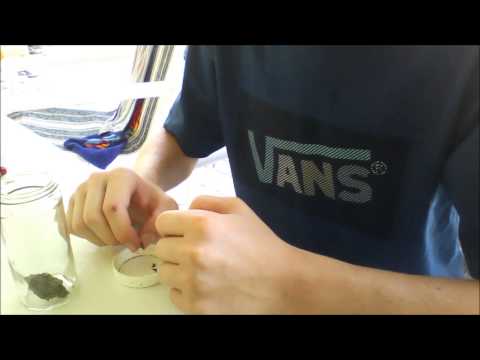 Toke Time - Ep.1 Strain Review