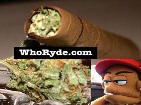 WhoRyde- Smoking Weed (Purple Kush, Chronic) and reading fan mail
