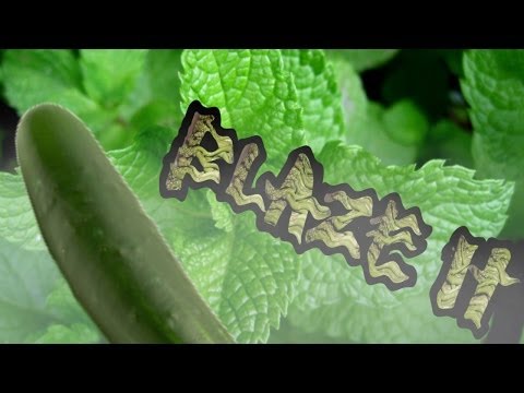 blaze it | h3h3 productions presents an h3h3productions production