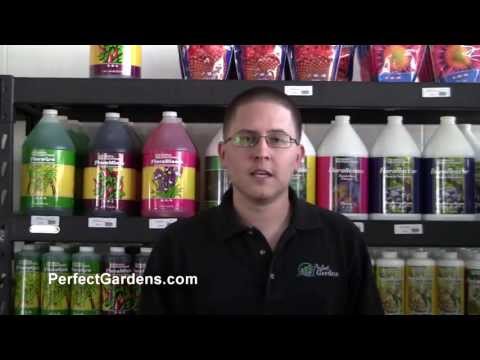 Difference Between Base & Additives