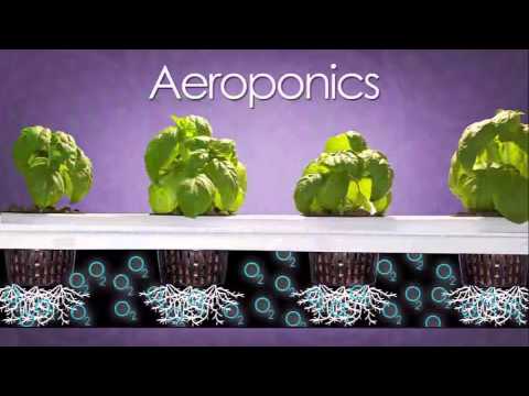 best vertical grow box Supercloset deluxe grow box stealth