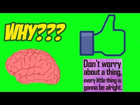 Stupid Things We Worry About