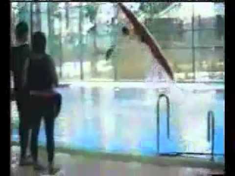 Seleção de video cacetadas mais babacas