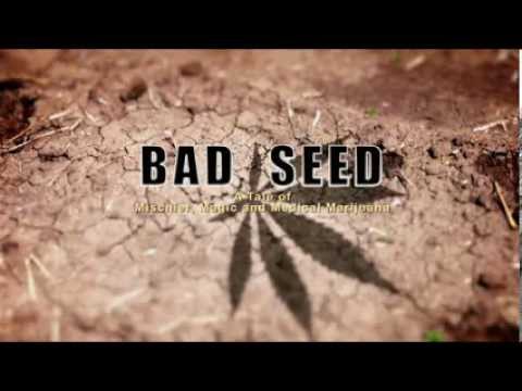 Should Barack Obama legalize marijuana?