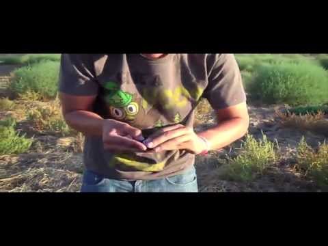 AMERICAN HORROR bY RmAn