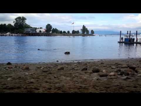 Loving the Simple things in life!