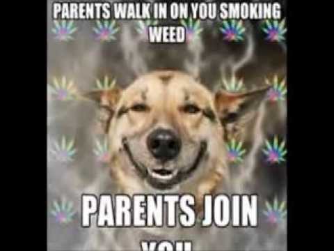 More Chix n the Stix