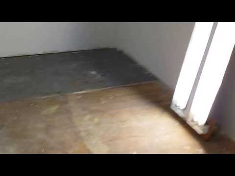 First coat of primer