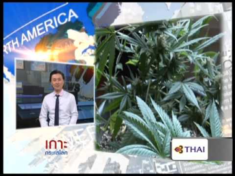 เกาะกระแสโลก 16 12 56 B1