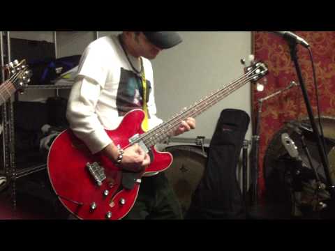 The Sunnybunnies - Tincture