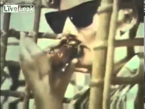 1970s marijuana commercial