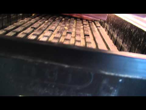 03. Just some clones