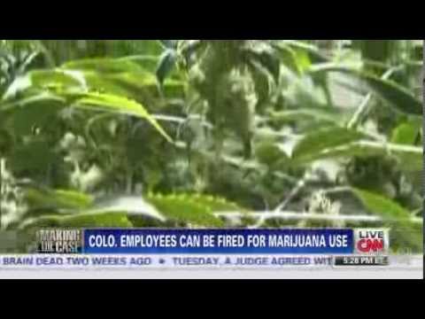 Colorado Pot Sales To Begin In 2014