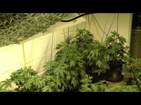 A05 - 4KW Room - Flipping tonight