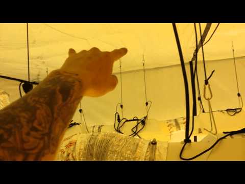 New 8000 Watt Grow Room.