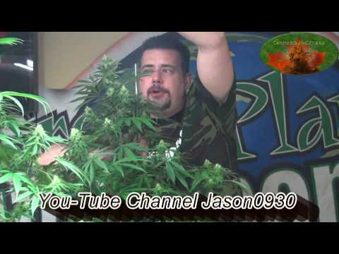 2010 Back to Grow Basics PPM=TDS + PH What?