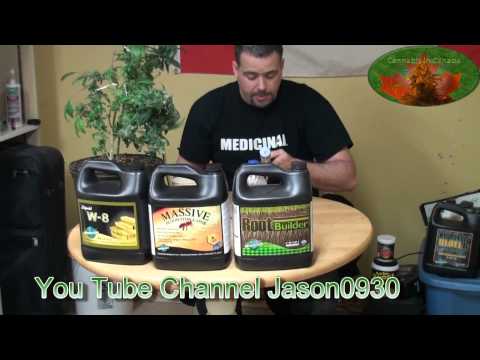 Dialing in Your Flowering Time     2009