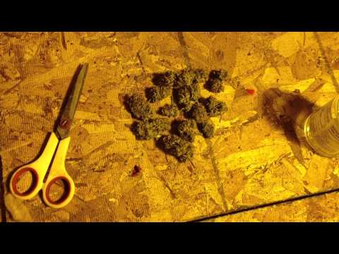 How to dry and cure your cannabis so your buds don't smell musty like hay, soap or nothing