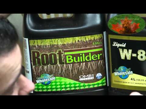 Cresting during Flowiering