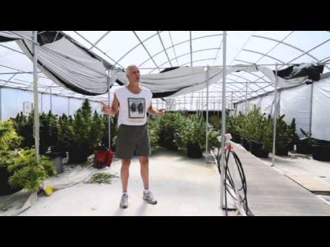 Colorado Burning - Dan Skye - Trailer