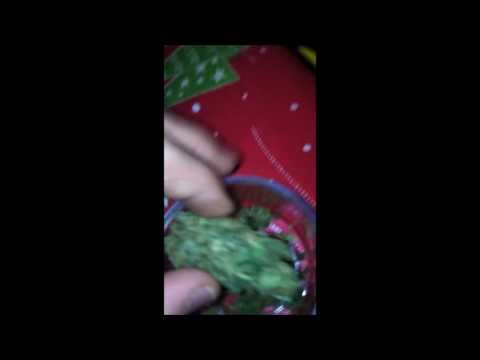 Homegrown Strain Review + A look inside the CFL Veg Room!