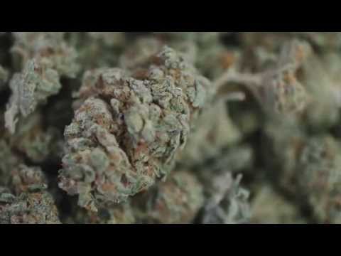 HD Weed Episode 2 (Trainwreck)