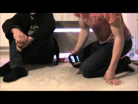 LEGAL HIGHS - von Damiana, über Kratom, bishin zu Katzenminze (catnip)