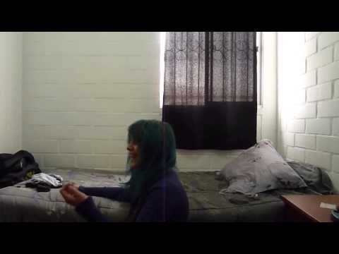 Salvia Trip 10x   Chile