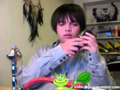 93 Scary Salvia Experience mp4