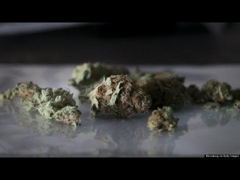 Colorado Airport To Offer Marijuana 'Amnesty Boxes'