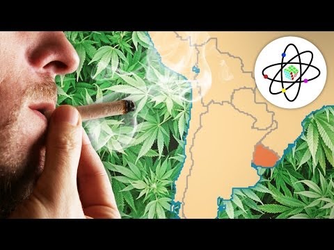 Does Pot for Uruguay Mean Pot for America? - #POGOBAT