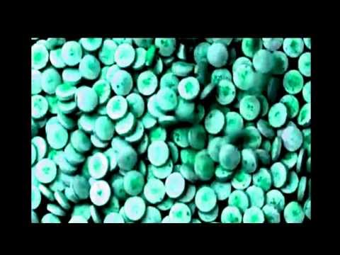 Tim Barnes- Klonopin-TRIPPYKORE VIDEO- (CHOPPED N EFTHANEXTED)BY:DV$ KULTMV$T3R