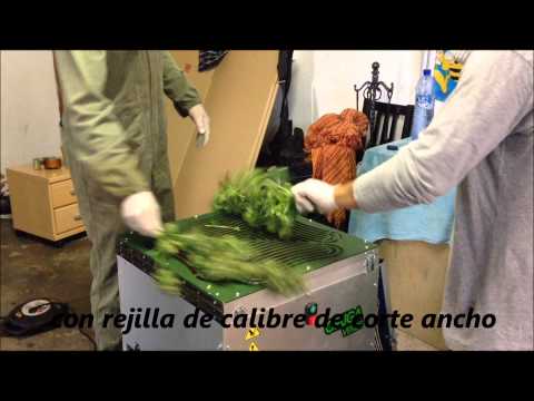 PELADORA DE COGOLLOS oruga verde M-1002 AM-2