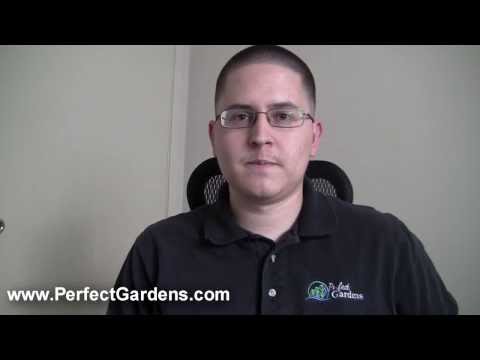 Start a Grow Room, Think About Space, Budget and Goals