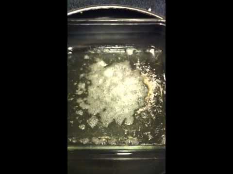 How to make BHO 'Budder' in 30 minutes!