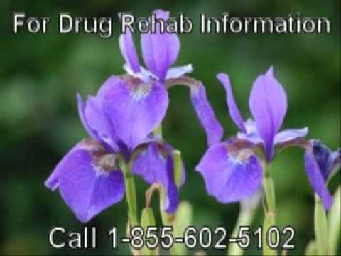 Revolutionary Marijuana Addiction Treatment Near to Ceres