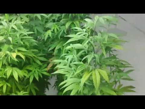 New shop bathroom and kitchen updates