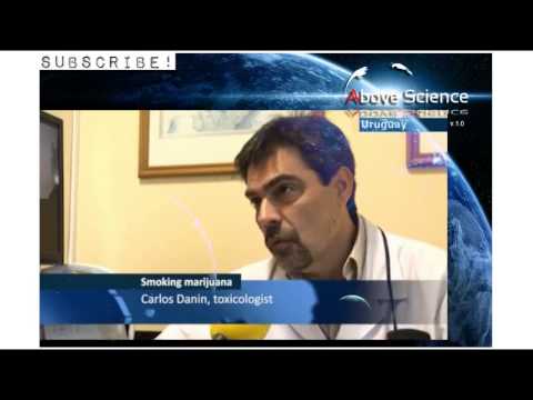 Israel Wants Marijuana!