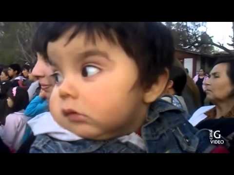 Videos Engraçados   Sustos Tombos Cassetadas Os Melhores Videos  Mais engraçados pra Morrer de Rir