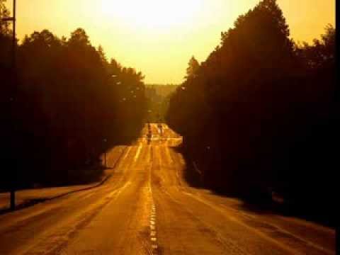 Adult Swim Bump - Never 2 Far