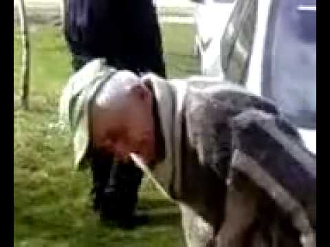 Muito engraçado velhinho fazendo o Teste ao bafômetro bêbado very funny good crazy