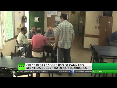 Pese a la polémica, se extiende el uso de la marihuana con fines medicinales