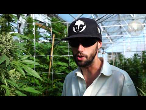Flo OG Friday's [#7] -CRTV